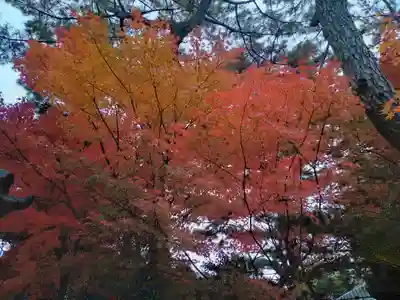 阿部野神社(大阪府)
