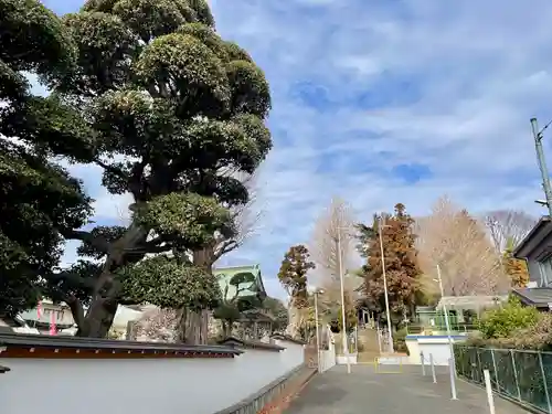 中山杉山神社(神奈川県)