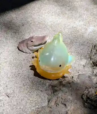 琴似神社(北海道)