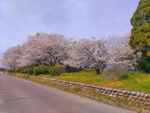 宇太志神社の自然