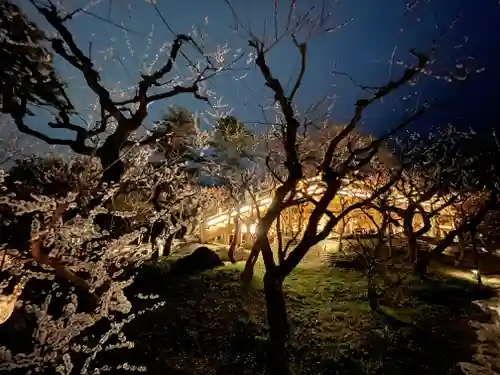 北野天満宮の庭園