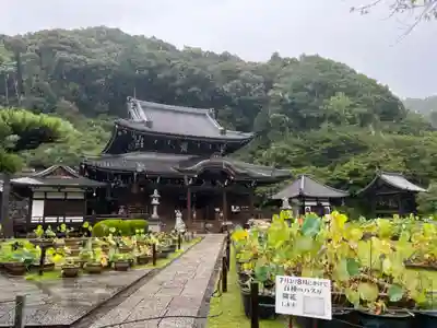 三室戸寺のその他建物