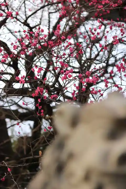 東郷神社(東京都)