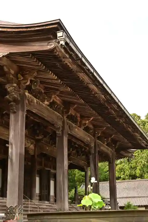 井波別院瑞泉寺(富山県)