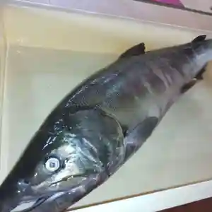 七重浜海津見神社(北海道)(2023年10月14日(土) 08時52分57秒投稿)