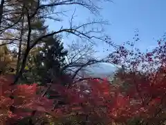 新倉富士浅間神社の景色