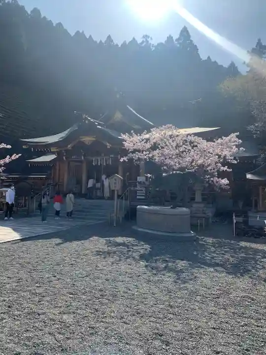丹生川上神社(上社)(奈良県)