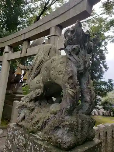 清水八幡神社の狛犬