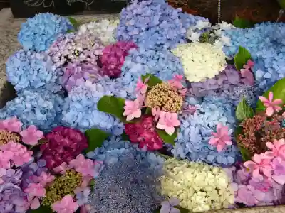 鎮守氷川神社の手水舎