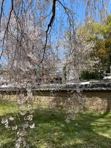 宝聚院(京都府)
