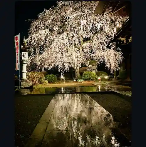長谷寺(長野県)