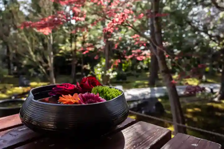 勝林寺のその他建物