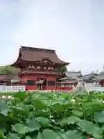 伊賀八幡宮の山門・神門