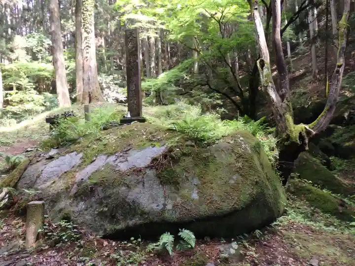 名草厳島神社の自然