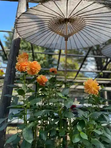 上野東照宮の自然