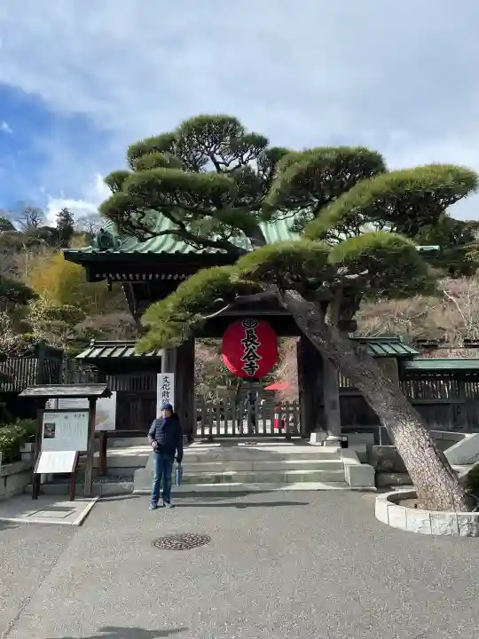 長谷寺の{uncategorized: "未分類", other: "その他", undefined: "問題あり", building: "その他建物", grave: "お墓", sacred_gate: "鳥居", guardian: "狛犬", statue: "像", buddha: "仏像", history: "歴史", nature: "自然", garden: "庭園", animal: "動物", pagoda: "塔", temizu: "手水舎", mountain_gate: "山門・神門", sanctuary: "本殿・本堂", subordinate: "末社・摂社", art: "芸術", scenery: "景色", jizo: "地蔵", ema: "絵馬", goshuin: "御朱印", omikuji: "おみくじ", items: "授与品その他", amulet: "お守り", goshuincho: "御朱印帳", eats: "食事", festival: "お祭り", votive_dance: "神楽", shichigosan: "七五三参", wedding: "結婚式", experience: "体験その他", initially: "初詣", around: "周辺", anti_infection: "感染症対策"}