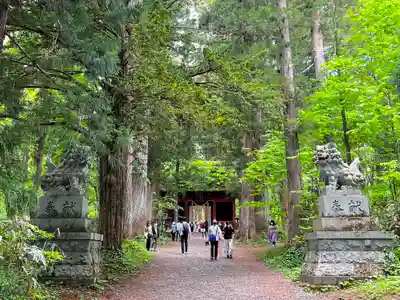 戸隠神社奥社(長野県)