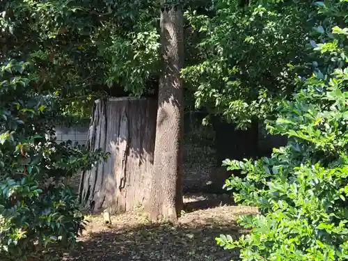 諏訪神社(東京都)