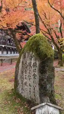 禅林寺(永観堂)(京都府)