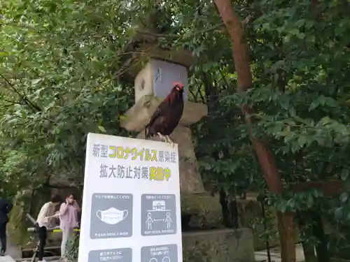 石上神宮(奈良県)