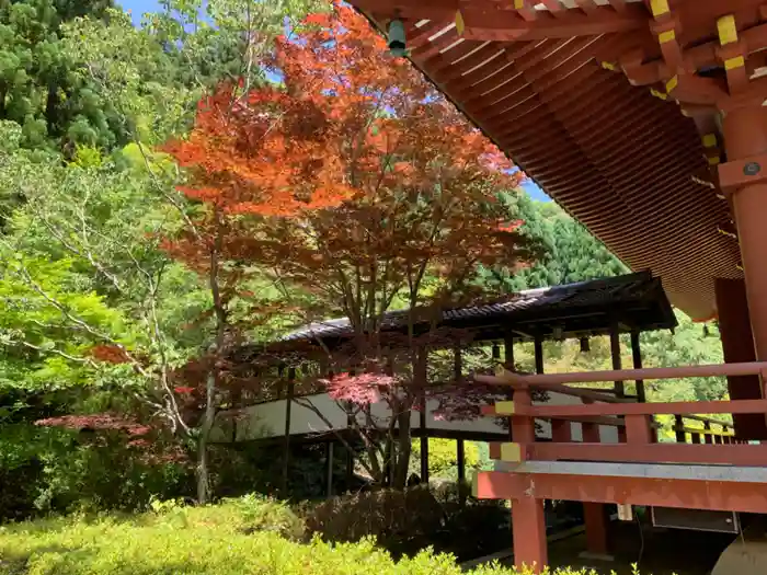 久安寺の建物その他