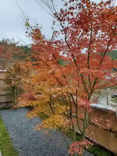 正寿院の庭園