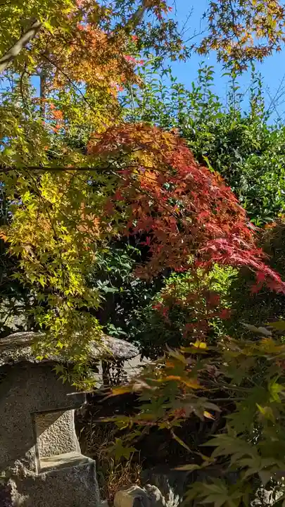 勧修寺(京都府)