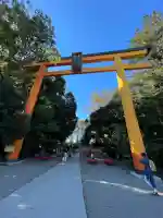 川越氷川神社(埼玉県)