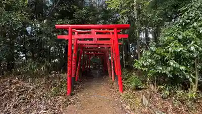 知乃神社(兵庫県)