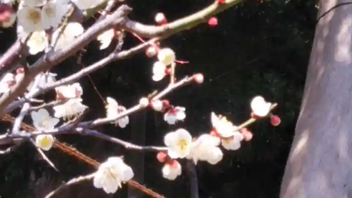 瀬戸神社(神奈川県)