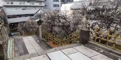 湯島天満宮(東京都)