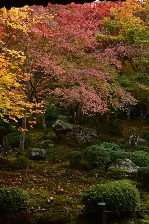 圓光寺(京都府)