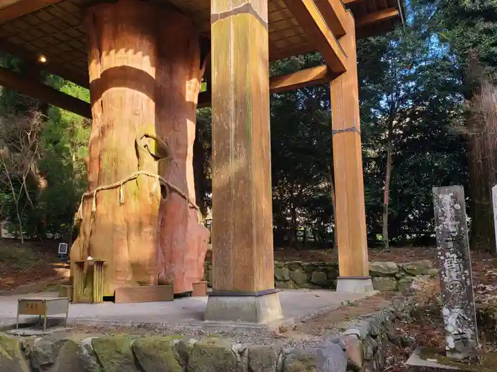 国造神社(熊本県)