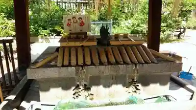 難波神社の手水舎