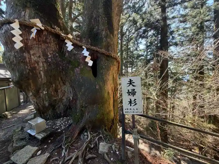 玉置神社の{uncategorized: "未分類", other: "その他", undefined: "問題あり", building: "その他建物", grave: "お墓", sacred_gate: "鳥居", guardian: "狛犬", statue: "像", buddha: "仏像", history: "歴史", nature: "自然", garden: "庭園", animal: "動物", pagoda: "塔", temizu: "手水舎", mountain_gate: "山門・神門", sanctuary: "本殿・本堂", subordinate: "末社・摂社", art: "芸術", scenery: "景色", jizo: "地蔵", ema: "絵馬", goshuin: "御朱印", omikuji: "おみくじ", items: "授与品その他", amulet: "お守り", goshuincho: "御朱印帳", eats: "食事", festival: "お祭り", votive_dance: "神楽", shichigosan: "七五三参", wedding: "結婚式", experience: "体験その他", initially: "初詣", around: "周辺", anti_infection: "感染症対策"}
