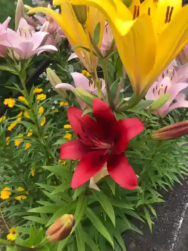 大東寺(福岡県)