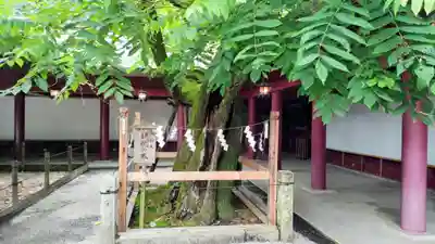 笠間稲荷神社(茨城県)