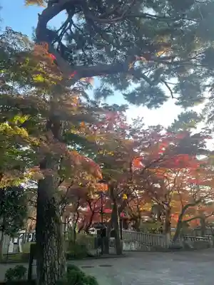 三寳寺(東京都)