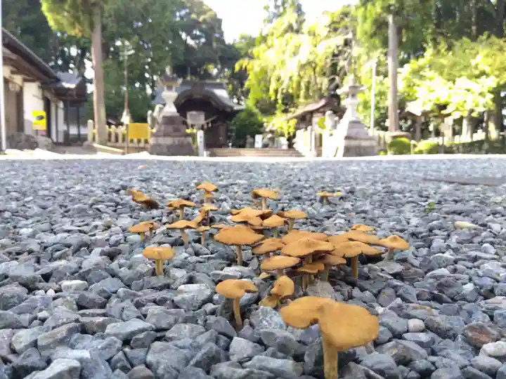 綾部八幡宮(京都府)