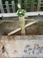 富部神社の手水舎