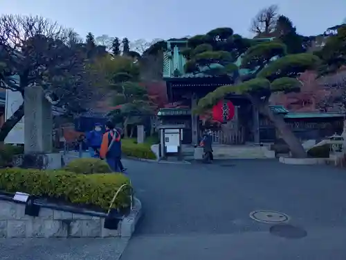 長谷寺(神奈川県)