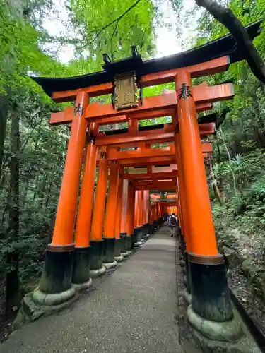 伏見稲荷大社(京都府)