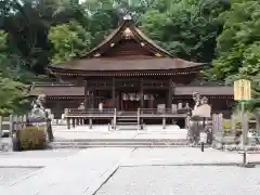 出雲大神宮の本殿