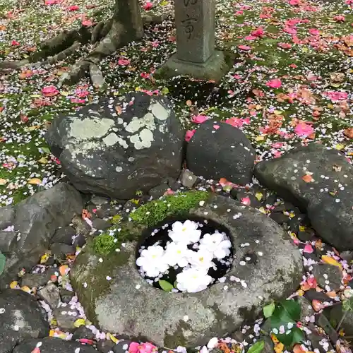 霊鑑寺門跡のその他建物