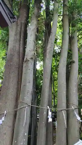 検見川神社(千葉県)