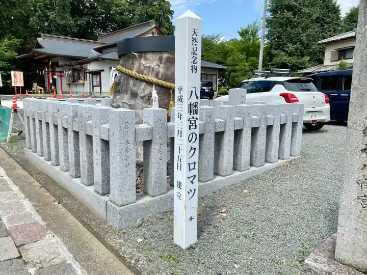下野國一社八幡宮(栃木県)