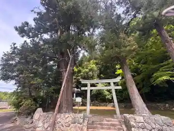 八幡神社(京都府)