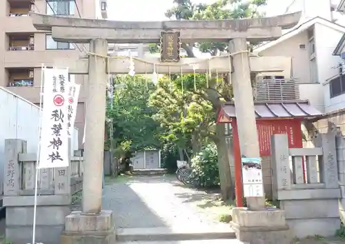 秋葉神社の鳥居