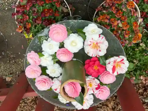 川越八幡宮の{uncategorized: "未分類", other: "その他", undefined: "問題あり", building: "その他建物", grave: "お墓", sacred_gate: "鳥居", guardian: "狛犬", statue: "像", buddha: "仏像", history: "歴史", nature: "自然", garden: "庭園", animal: "動物", pagoda: "塔", temizu: "手水舎", mountain_gate: "山門・神門", sanctuary: "本殿・本堂", subordinate: "末社・摂社", art: "芸術", scenery: "景色", jizo: "地蔵", ema: "絵馬", goshuin: "御朱印", omikuji: "おみくじ", items: "授与品その他", amulet: "お守り", goshuincho: "御朱印帳", eats: "食事", festival: "お祭り", votive_dance: "神楽", shichigosan: "七五三参", wedding: "結婚式", experience: "体験その他", initially: "初詣", around: "周辺", anti_infection: "感染症対策"}