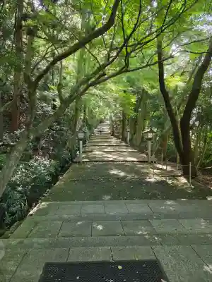 白山比咩神社の{uncategorized: "未分類", other: "その他", undefined: "問題あり", building: "その他建物", grave: "お墓", sacred_gate: "鳥居", guardian: "狛犬", statue: "像", buddha: "仏像", history: "歴史", nature: "自然", garden: "庭園", animal: "動物", pagoda: "塔", temizu: "手水舎", mountain_gate: "山門・神門", sanctuary: "本殿・本堂", subordinate: "末社・摂社", art: "芸術", scenery: "景色", jizo: "地蔵", ema: "絵馬", goshuin: "御朱印", omikuji: "おみくじ", items: "授与品その他", amulet: "お守り", goshuincho: "御朱印帳", eats: "食事", festival: "お祭り", votive_dance: "神楽", shichigosan: "七五三参", wedding: "結婚式", experience: "体験その他", initially: "初詣", around: "周辺", anti_infection: "感染症対策"}